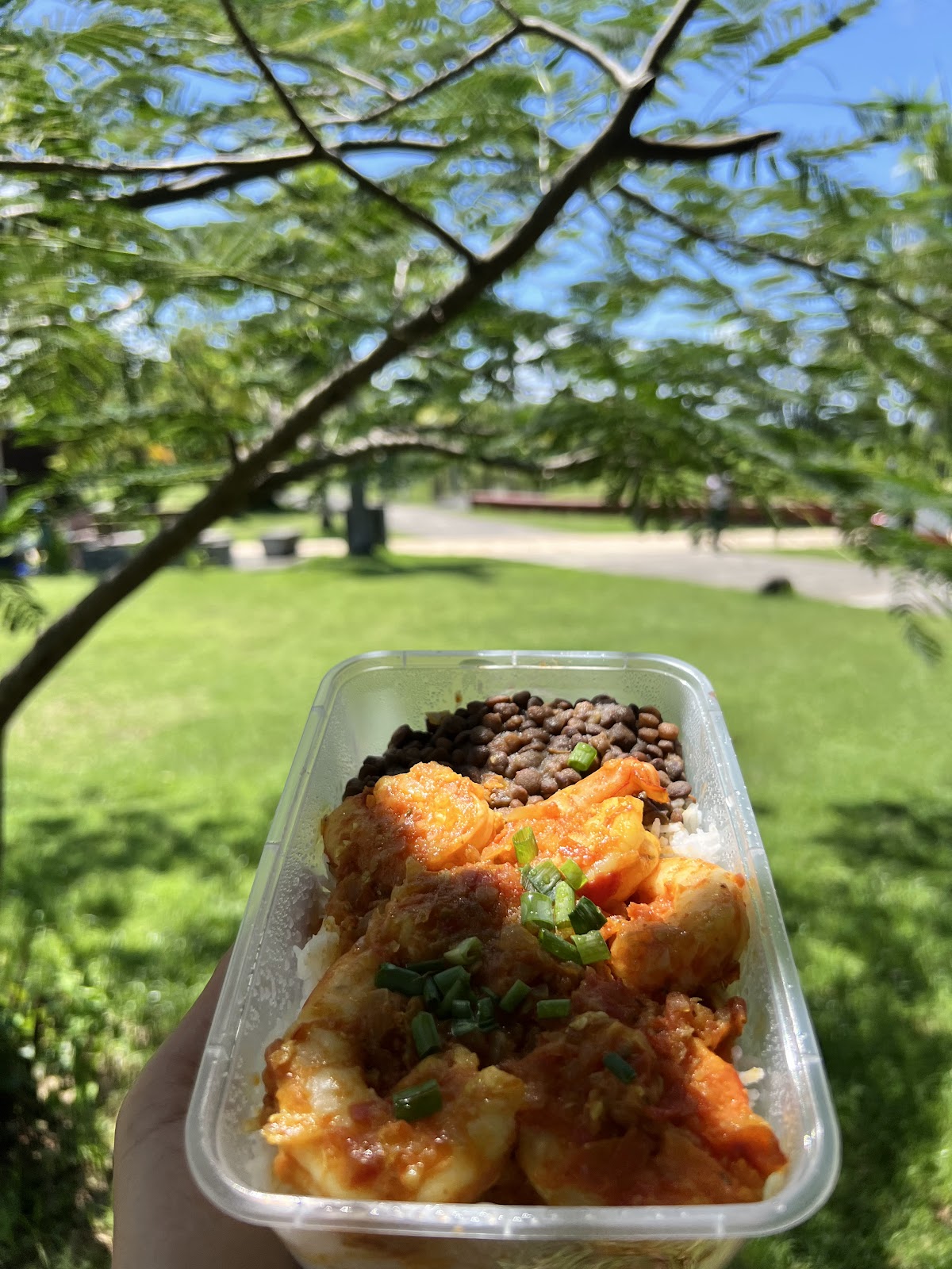 La Louisianne - photo 2